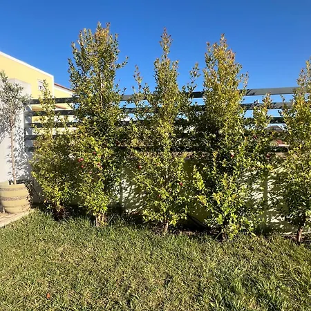 Caparica Surfhouse Homestay Charneca (Setubal)